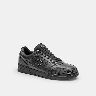 Soho Sneaker Signature