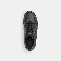Soho Sneaker Signature
