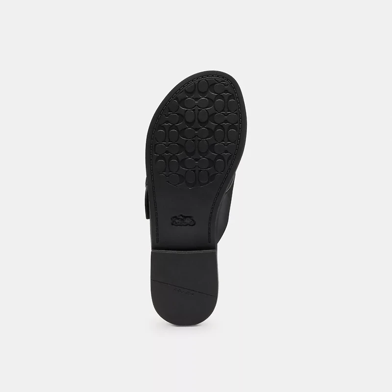 Crisscross Buckle Sandal