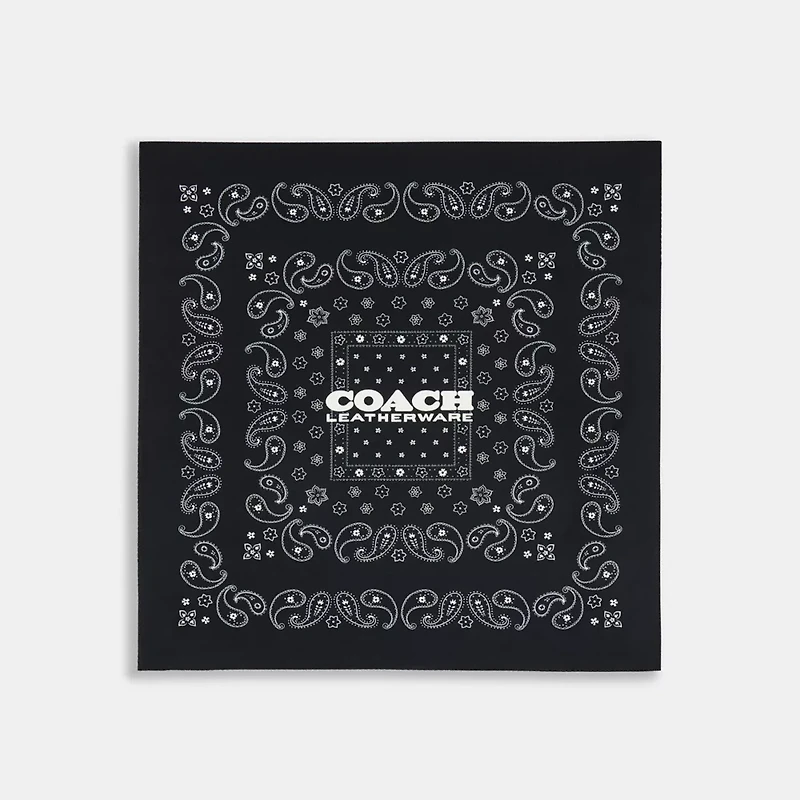 Paisley Print Silk Bandana