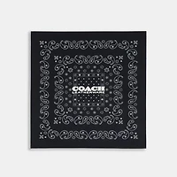 Paisley Print Silk Bandana