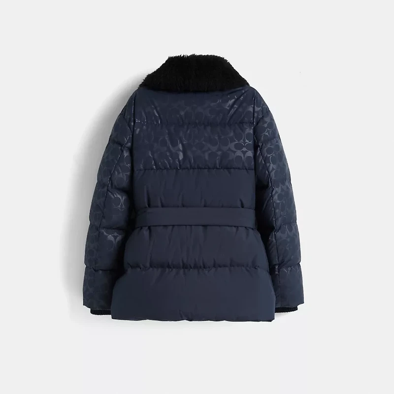 Restored Belted Puffer