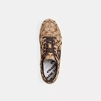 Soft Soho Sneaker Signature Sateen Jacquard