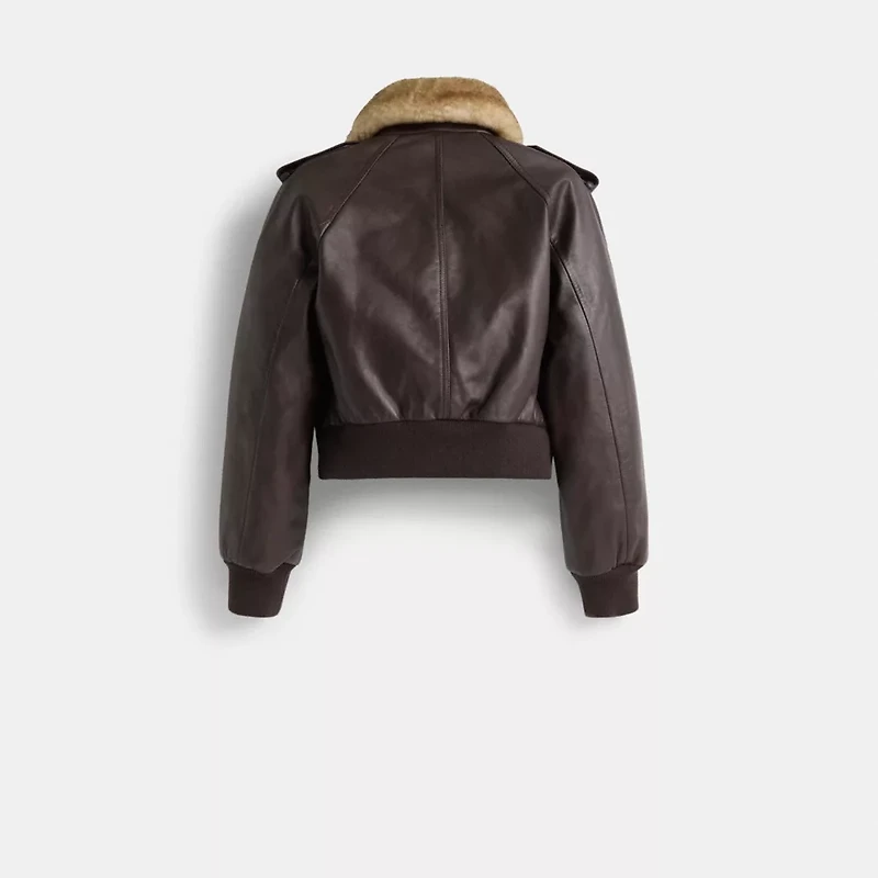Restored Cropped Leather Jacket