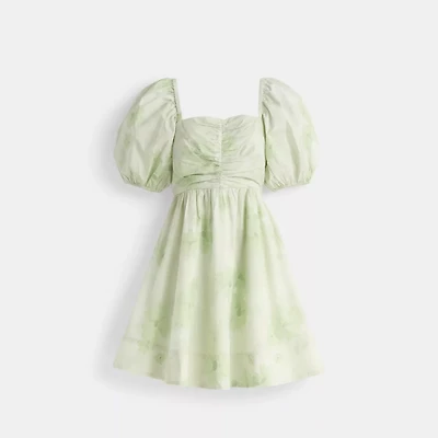 Restored Puff Sleeve Mini Dress