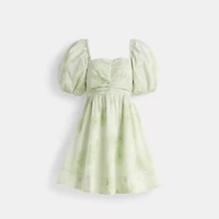 Restored Puff Sleeve Mini Dress