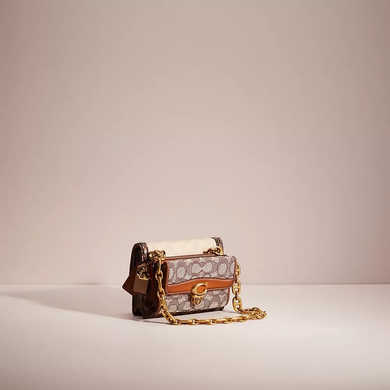 Upcrafted Belt Bag In Blocked Signature Canvas With Snakeskin
