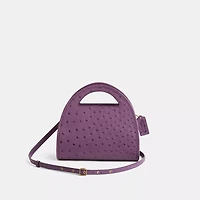 Restored Zip Dome Crossbody In Ostrich