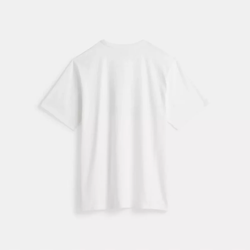 Restored Rainbow Horse And Carriage T-Shirt