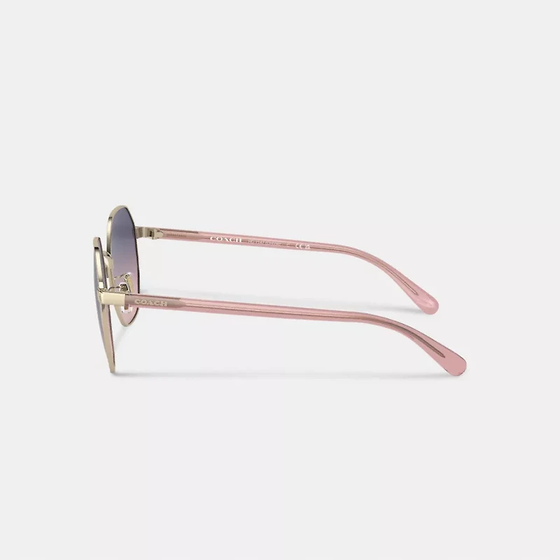 Metal Hexagon Sunglasses