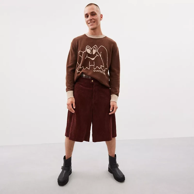 Crewneck Sweater With Intarsia Star Frog Graphic