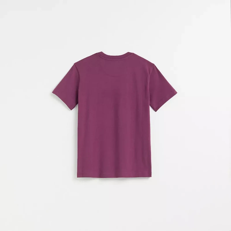 Restored Horse And Carriage T-Shirt