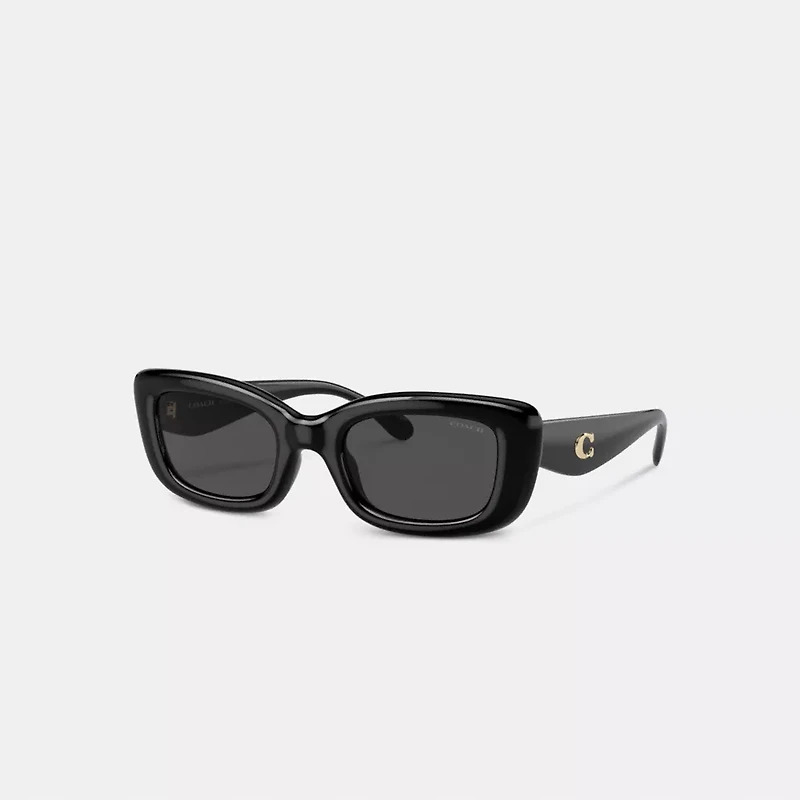 C Hardware Narrow Rectangle Sunglasses