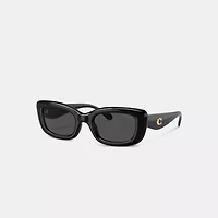 C Hardware Narrow Rectangle Sunglasses