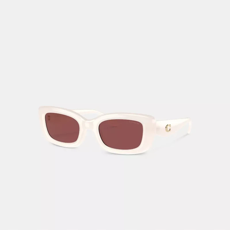 C Hardware Narrow Rectangle Sunglasses