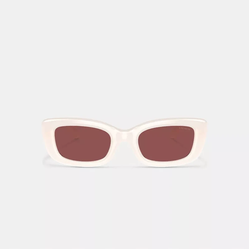 C Hardware Narrow Rectangle Sunglasses