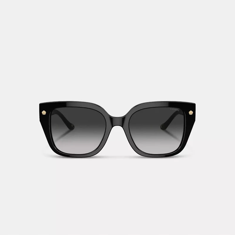 Charms Oversized Square Sunglasses