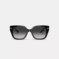 Charms Oversized Square Sunglasses