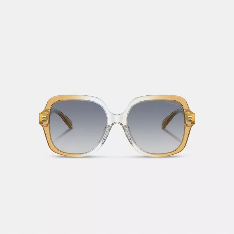 Signature Ombré Oversized Square Sunglasses