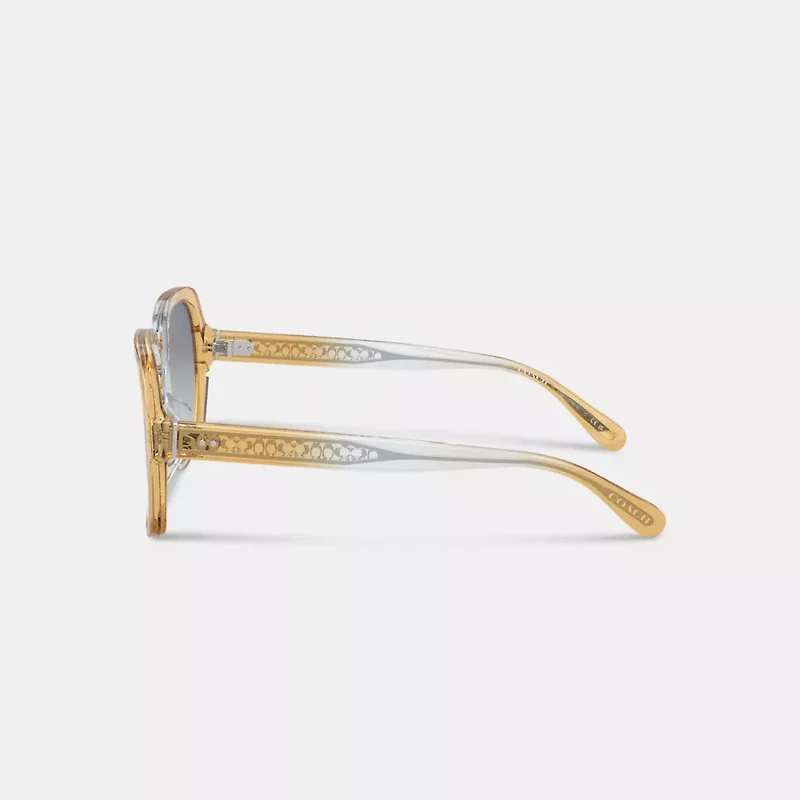 Signature Ombré Oversized Square Sunglasses