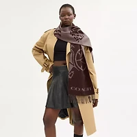 Horse And Carriage Cashmere Muffler