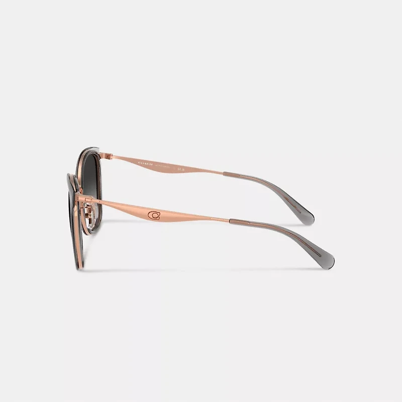 C Hardware Cat Eye Sunglasses