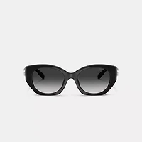 Maxi Sculpted C Oval Sunglasses