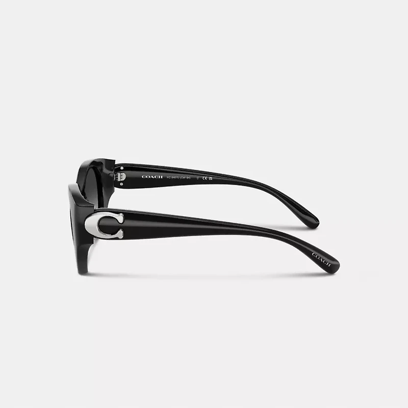Maxi Sculpted C Oval Sunglasses