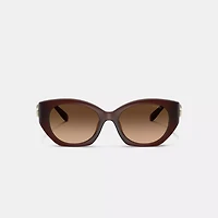 Maxi Sculpted C Oval Sunglasses
