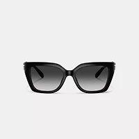Maxi Sculpted C Square Cat Eye Sunglasses