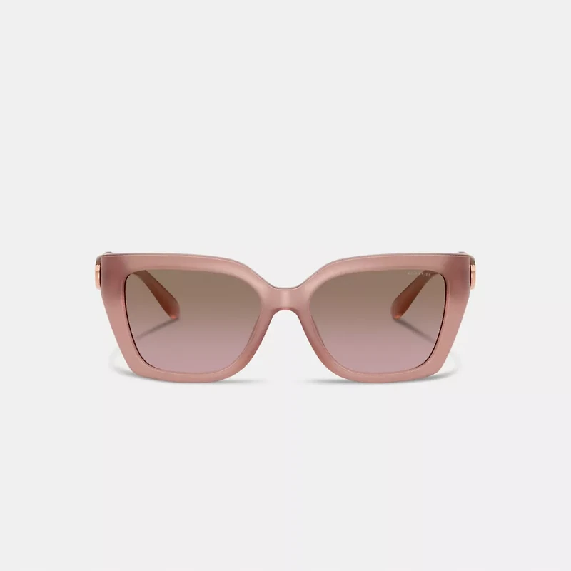 Maxi Sculpted C Square Cat Eye Sunglasses