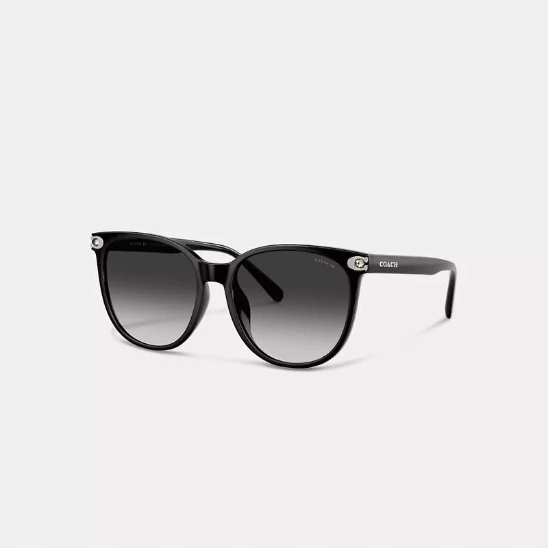 Embedded C Rounded Square Sunglasses