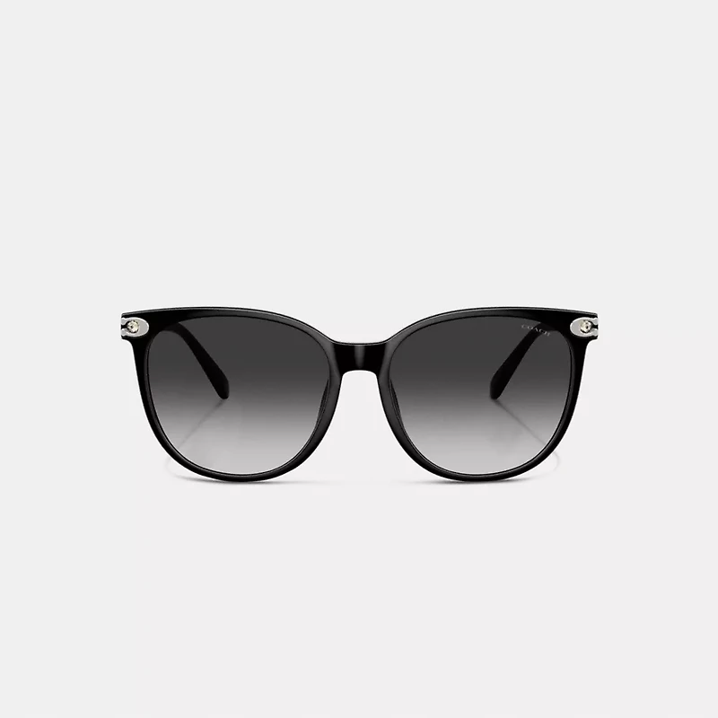 Embedded C Rounded Square Sunglasses
