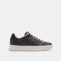 High Line Sneaker Signature Canvas