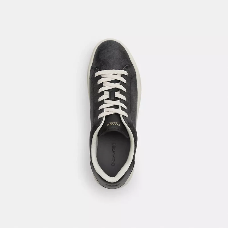 High Line Sneaker Signature Canvas