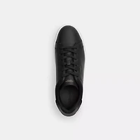 High Line Sneaker