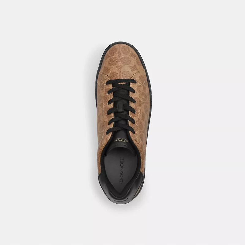High Line Sneaker Signature Canvas