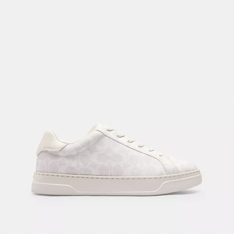High Line Sneaker In Signature Canvas