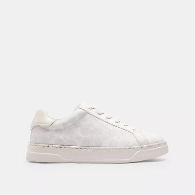 High Line Sneaker In Signature Canvas