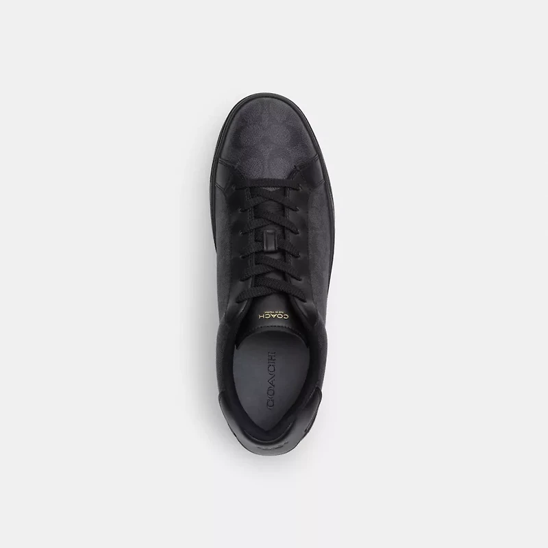 High Line Sneaker Signature Canvas