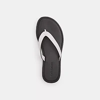 Brianna Flip Flop