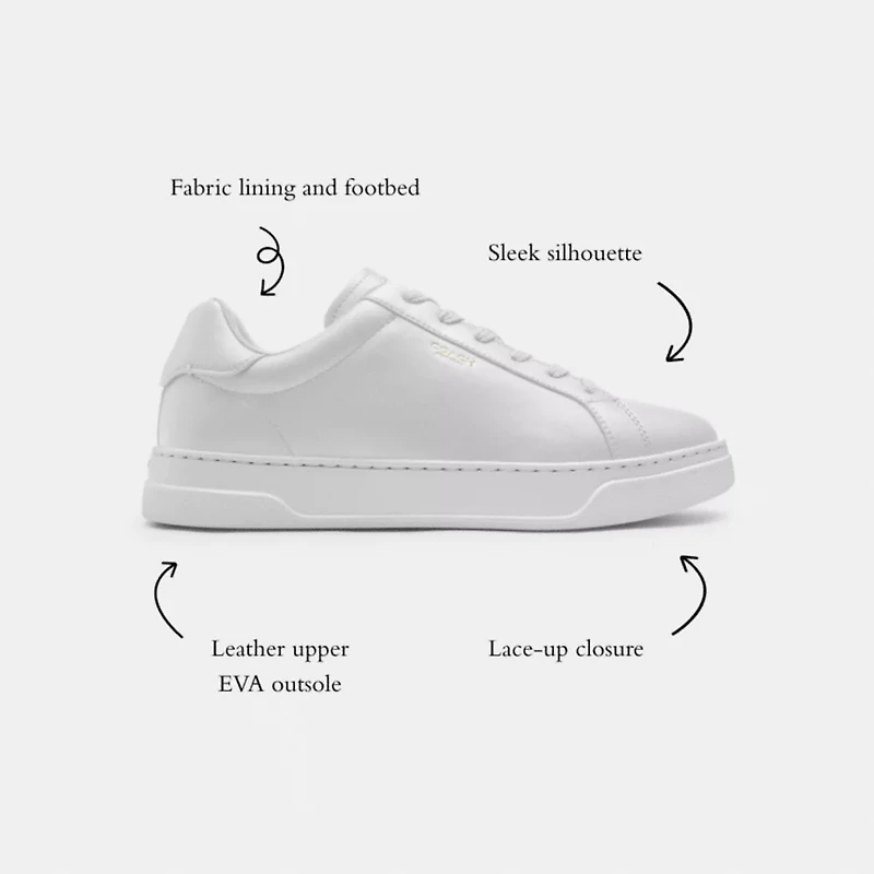 High Line Sneaker Signature Canvas