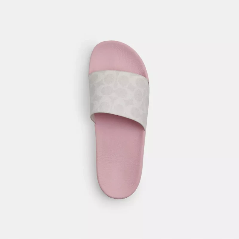 Udele Sport Slide Signature Canvas