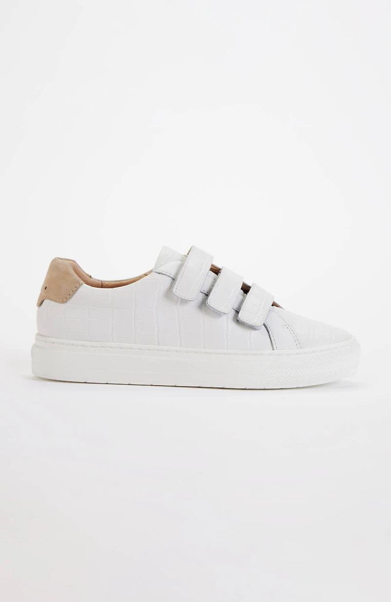 frankie4  archer sneakers