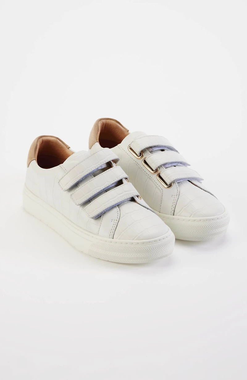 frankie4  archer sneakers