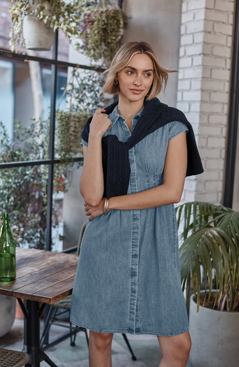 indigo darted-waist dress