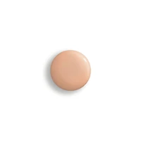 Phyto-teint Perfection