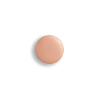 Phyto-teint Perfection