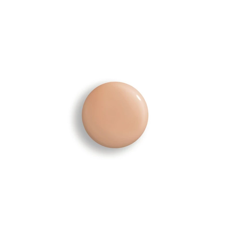 Phyto-teint Perfection
