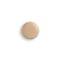 Phyto-teint Perfection